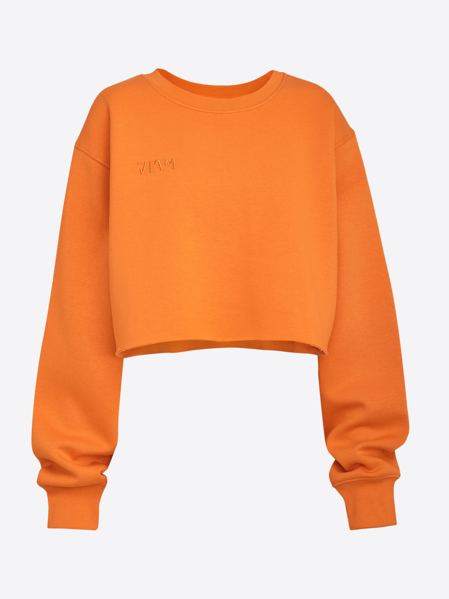 Sweatshirt 'BRITNEY' Sweatshirt 'BRITNEY' von ABOUT YOU x VIAM Studio