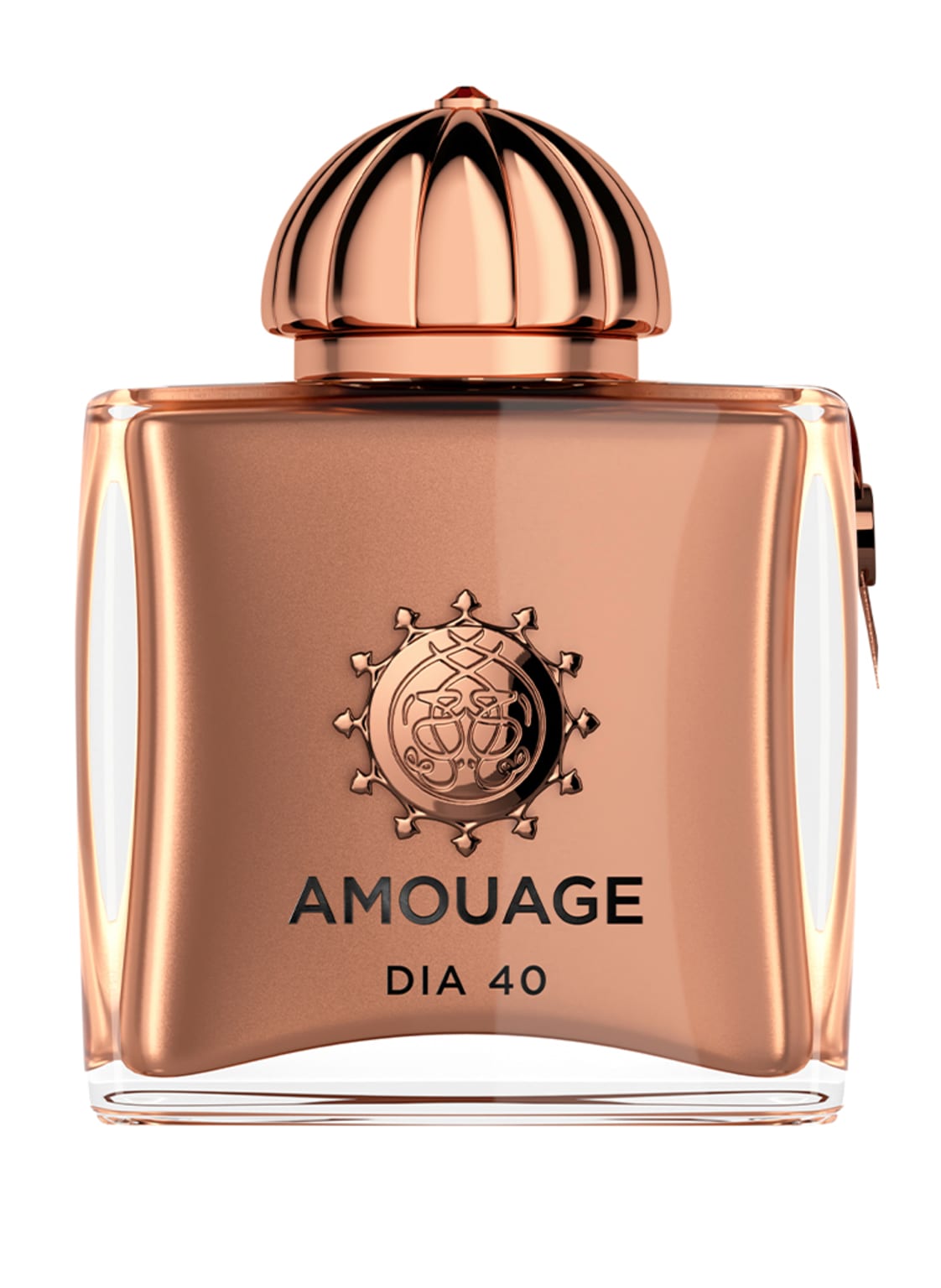 Amouage Dia 40 Extrait de Parfum 100 ml Amouage Dia 40 Extrait de Parfum 100 ml von AMOUAGE