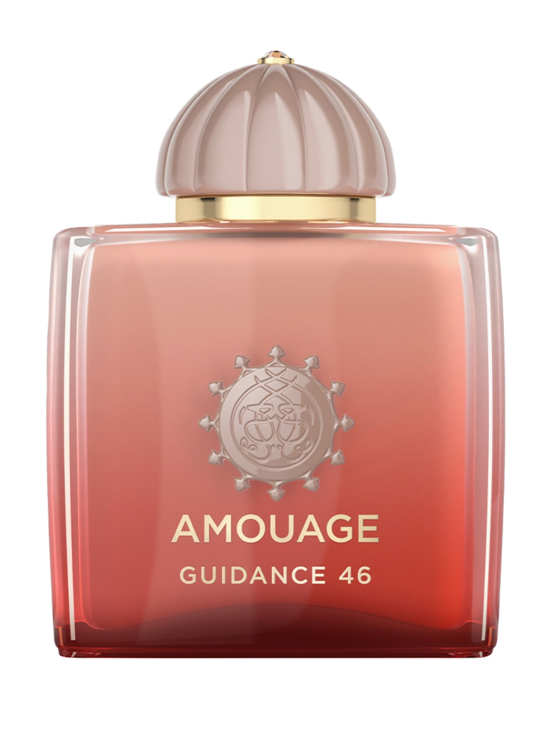 Amouage Guidance 46 Extrait de Parfum 100 ml Amouage Guidance 46 Extrait de Parfum 100 ml von AMOUAGE