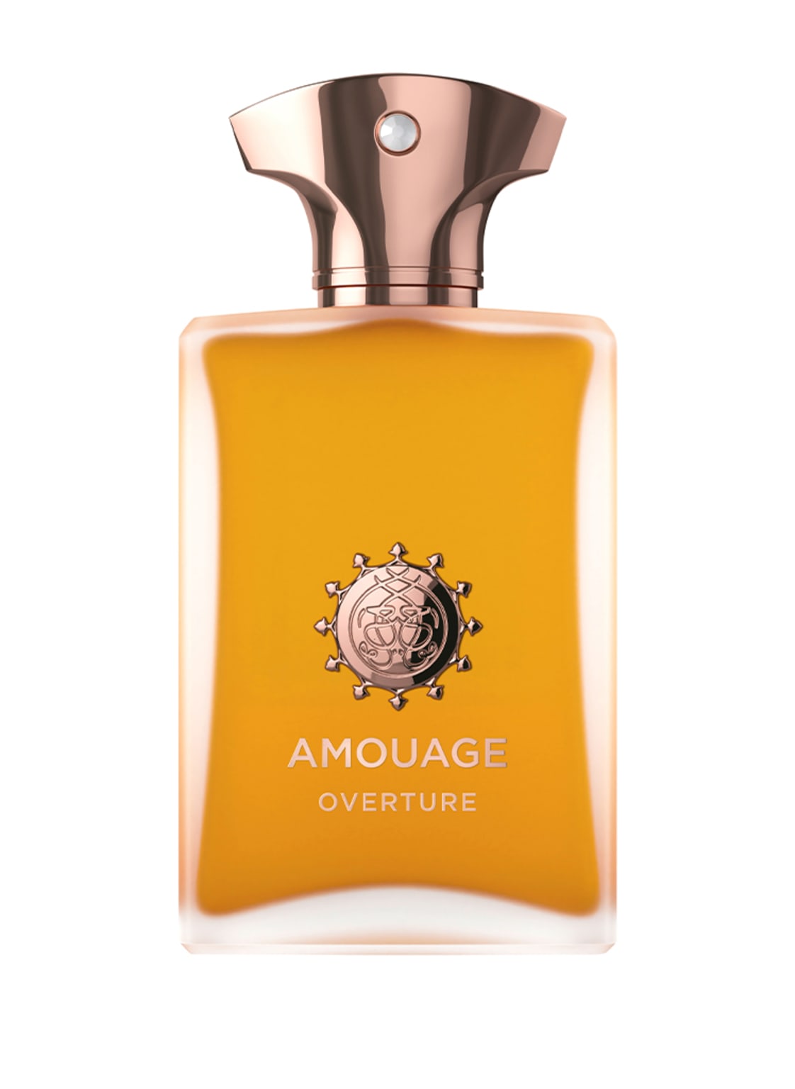 Amouage Overture Man Eau de Parfum 100 ml Amouage Overture Man Eau de Parfum 100 ml von AMOUAGE