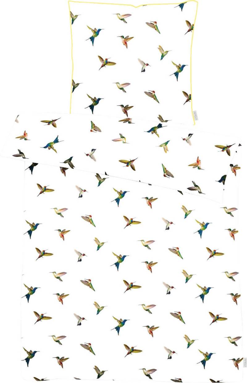 APELT Bettwäsche »Kolibri«, (2 tlg.), stylische bunte Vögel von APELT