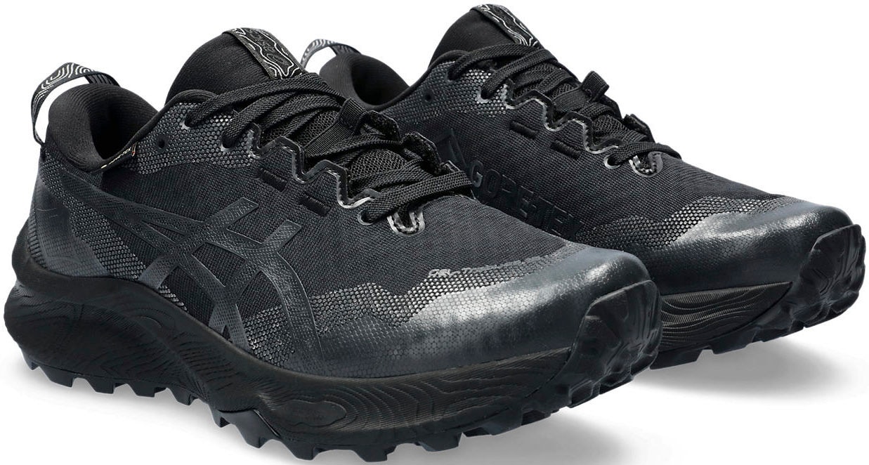 Asics Trailrunningschuh »GEL-TRABUCO 12 Gore-Tex« von ASICS