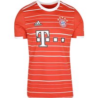 ADIDAS Herren Heimtrikot FC Bayern München Replica 22/23 rot | L von Adidas