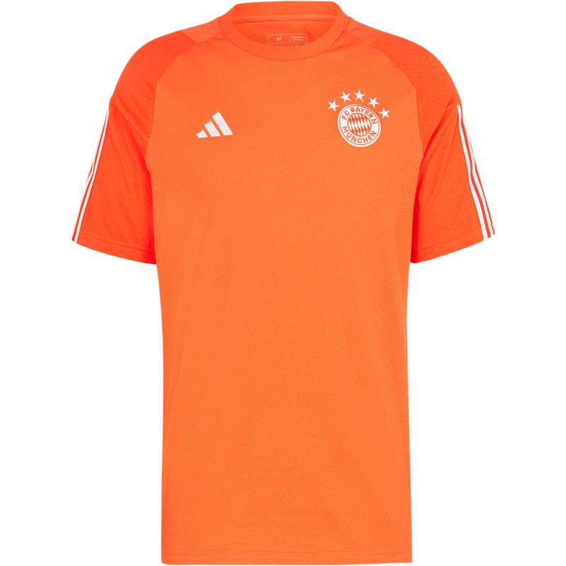 adidas FC Bayern München T-Shirt Herren von Adidas