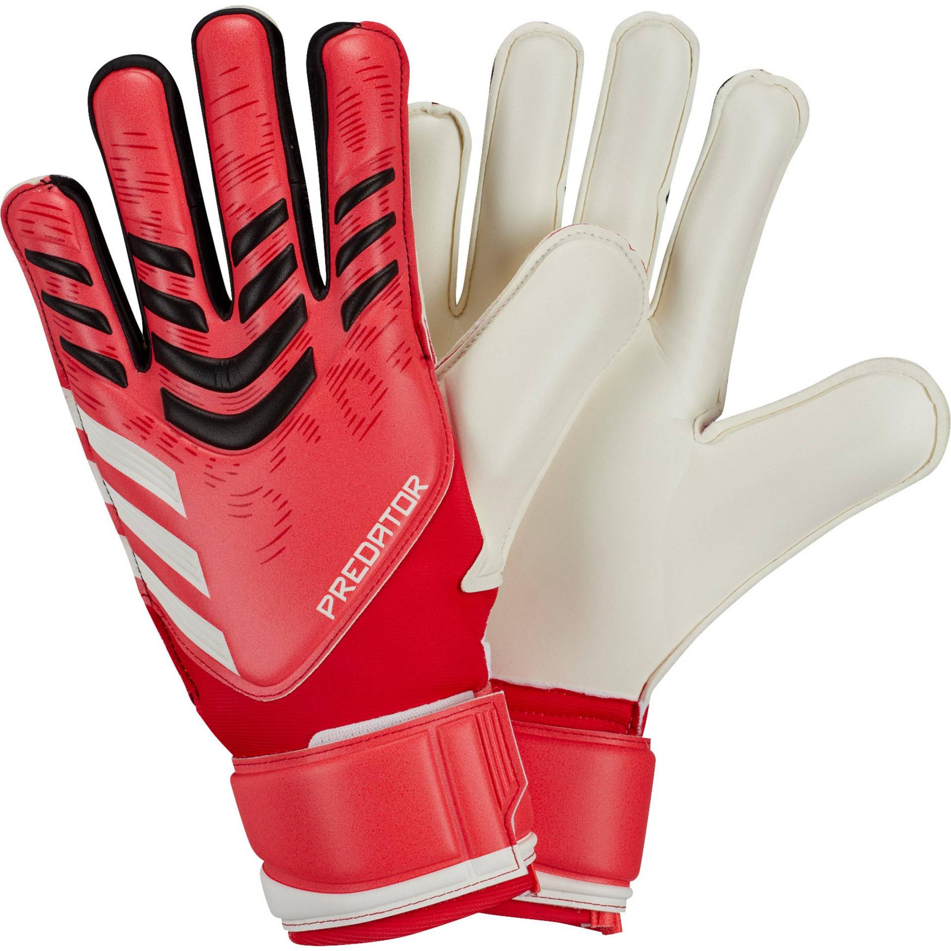 adidas PRED GL MTC Torwarthandschuhe adidas PRED GL MTC Torwarthandschuhe von Adidas