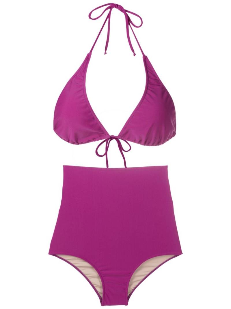 Adriana Degreas Le Fleur stretch-design bikini - Purple von Adriana Degreas