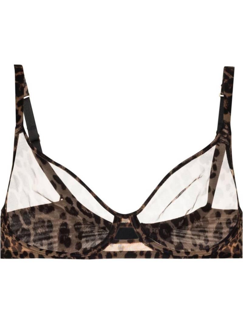 Agent Provocateur Lucky leopard-print bra - Brown von Agent Provocateur