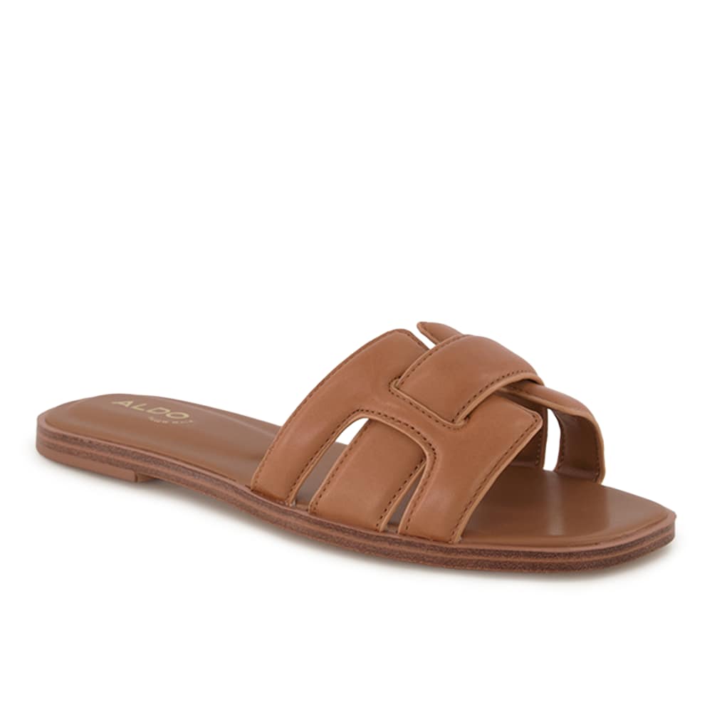 Aldo, Mule Aldo, Mule von Aldo