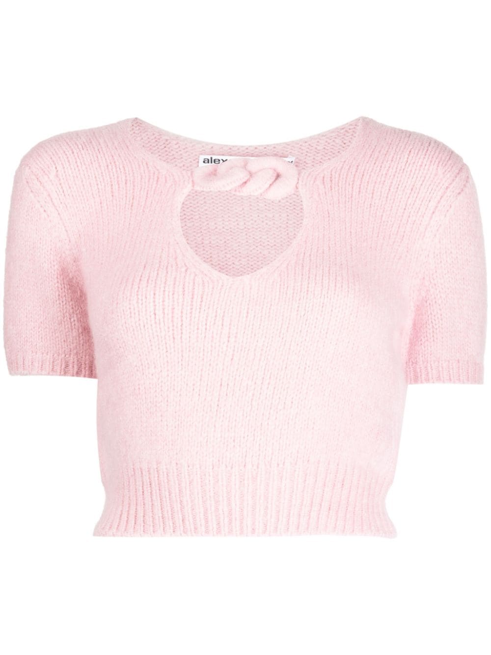 Alexander Wang chain-detail cropped knitted top - Pink von Alexander Wang