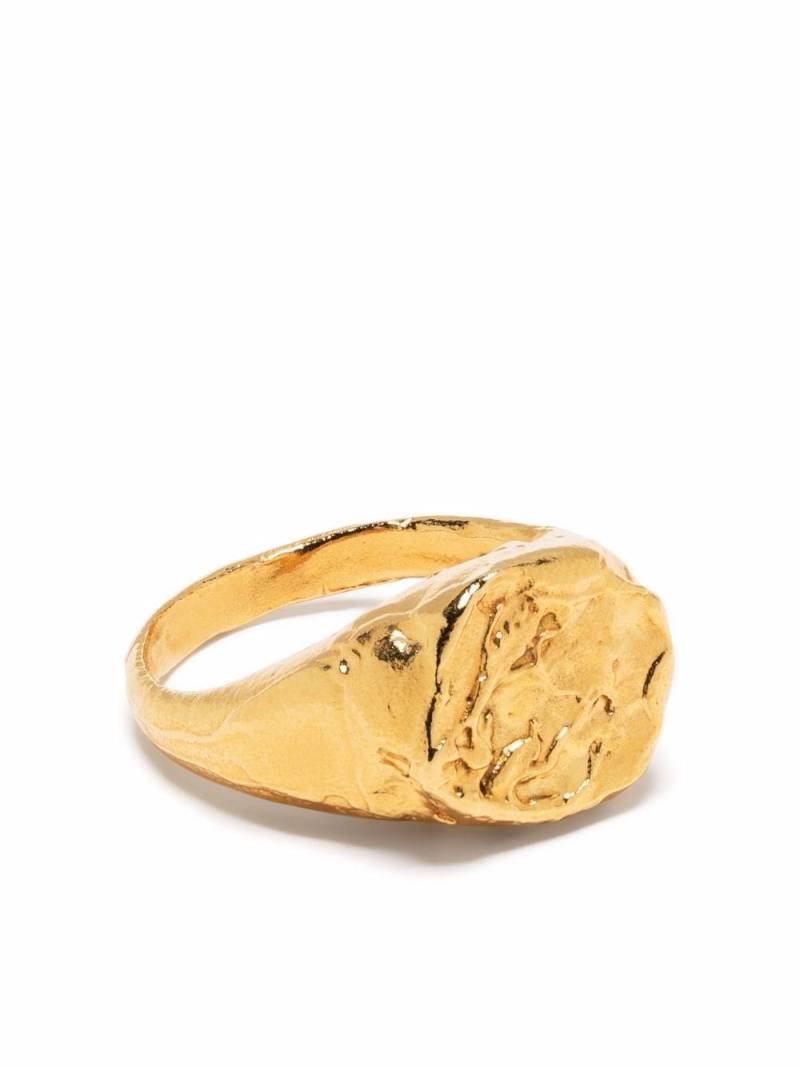 Alighieri Pisces signet ring - Gold von Alighieri