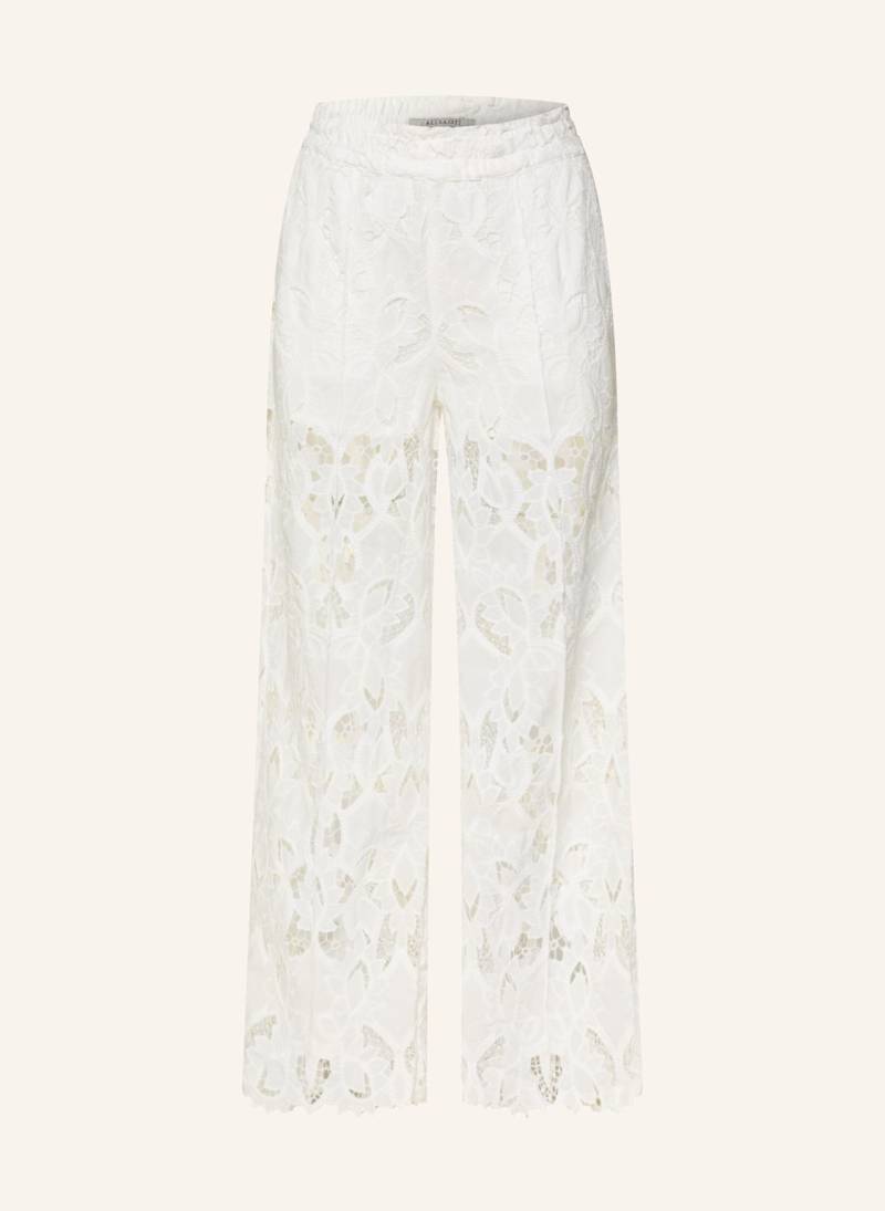 Allsaints Marlenehose Charli Aus Spitze weiss von AllSaints