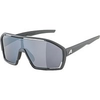 ALPINA Herren Radbrille Bonfire grau von Alpina