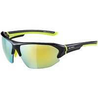 ALPINA Sportbrille Lyron HR schwarz von Alpina
