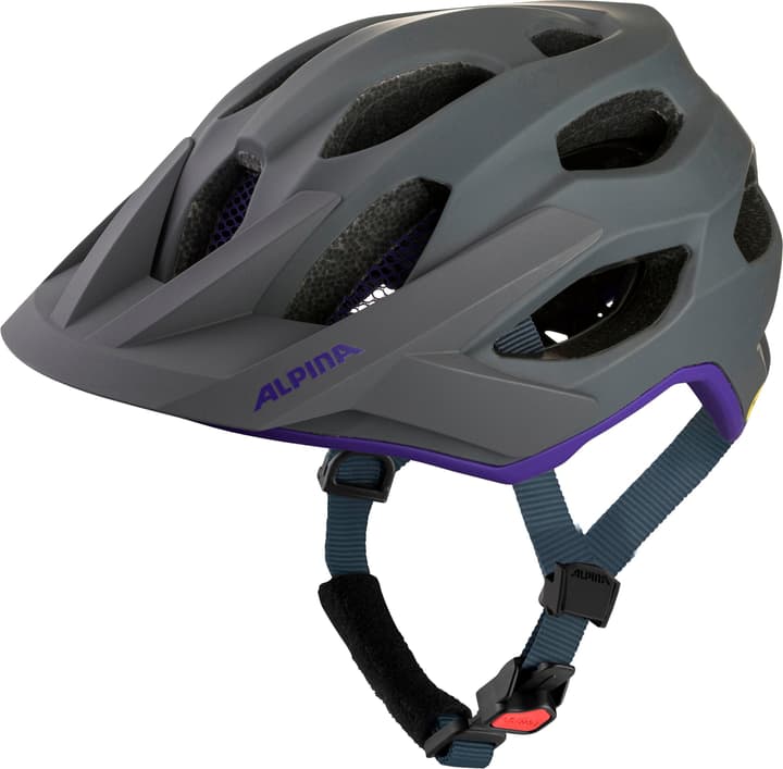 Alpina Apax Mips Velohelm dunkelgrau von Alpina