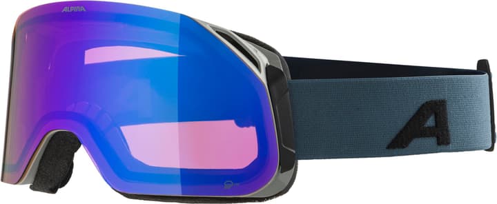 Alpina Blackcomb Q-Lite Skibrille grau von Alpina