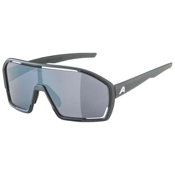 Alpina - Bonfire Cat. 3 - Velobrille grau Alpina - Bonfire Cat. 3 - Velobrille grau von Alpina