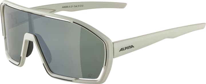 Alpina Bonfire Q-Lite Sportbrille grau von Alpina