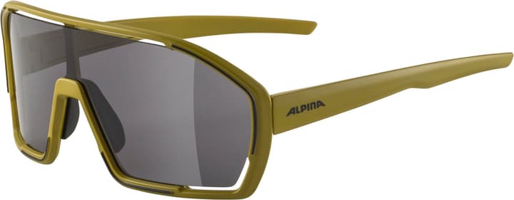 Alpina Bonfire Sportbrille grün von Alpina