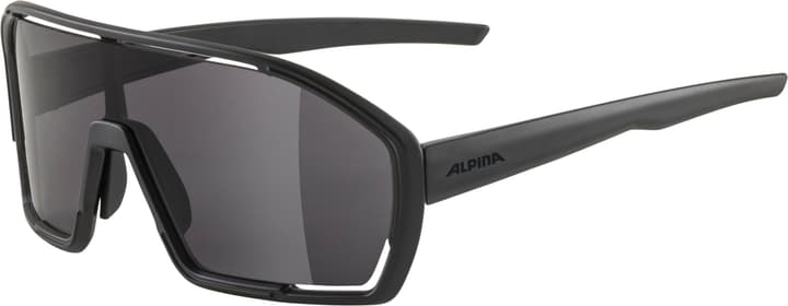 Alpina Bonfire Sportbrille schwarz von Alpina