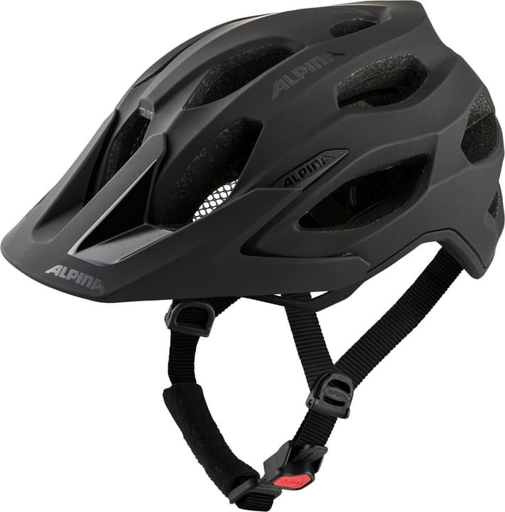 Alpina Carapax 2.0 Velohelm anthrazit von Alpina