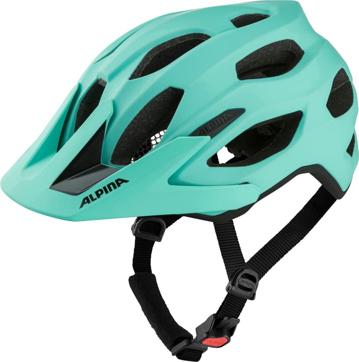 Alpina Carapax 2.0 Velohelm mint von Alpina