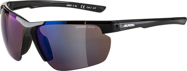 Alpina Defey HR Sportbrille anthrazit von Alpina