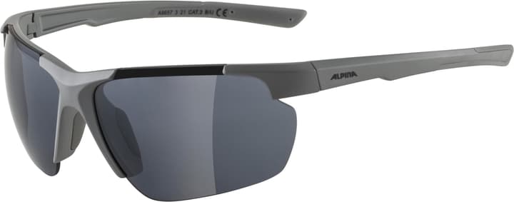 Alpina Defey HR Sportbrille grau von Alpina