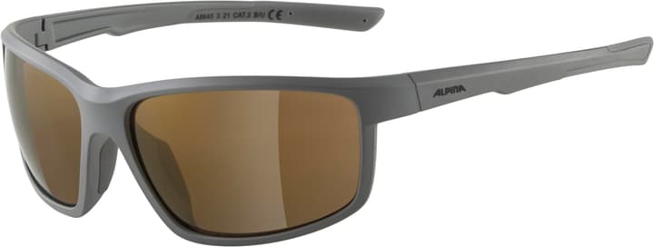 Alpina Defey Sportbrille grau von Alpina