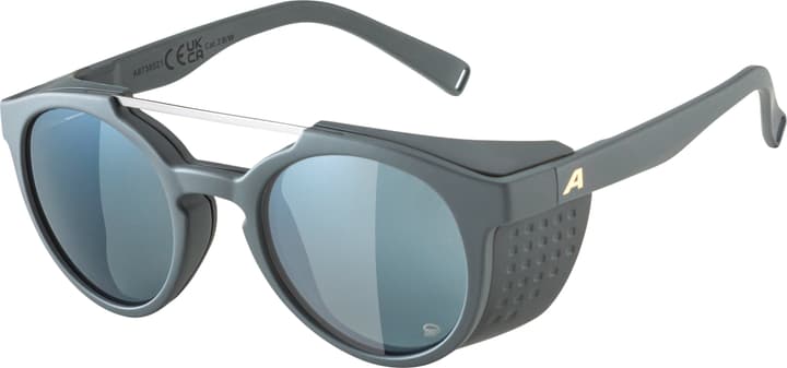 Alpina Glace P Sportbrille grau von Alpina