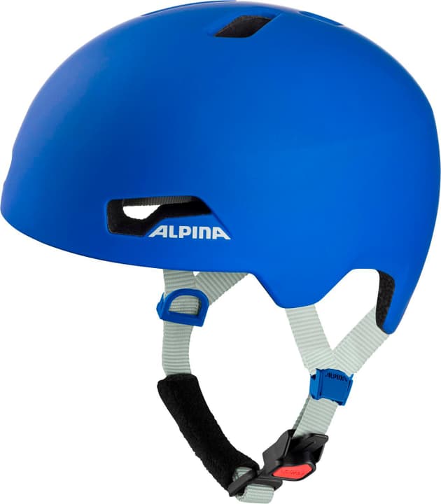 Alpina Hackney Velohelm royal von Alpina