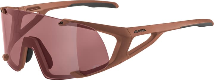 Alpina Hawkeye Q-Lite Sportbrille rot von Alpina