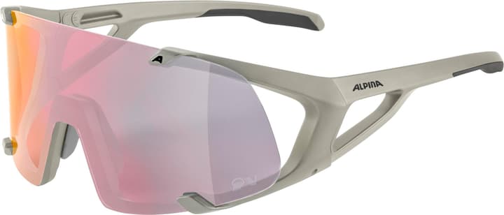 Alpina Hawkeye QV Sportbrille grau von Alpina