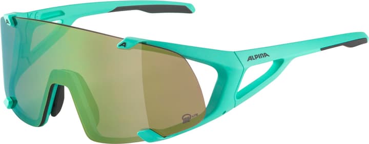 Alpina Hawkeye S Q-Lite Sportbrille grün von Alpina