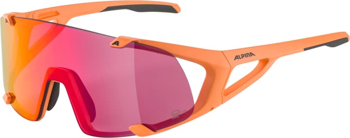 Alpina Hawkeye S Q-Lite Sportbrille rot von Alpina