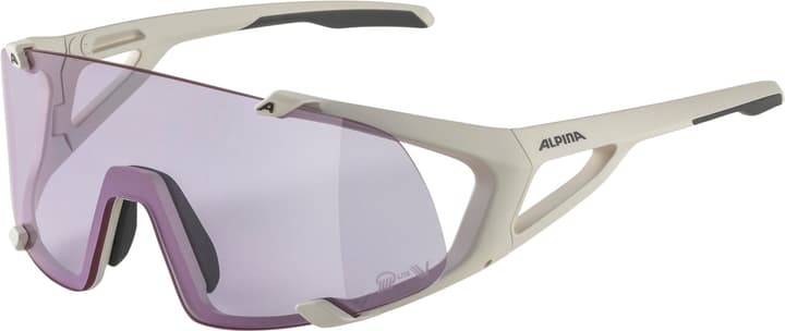 Alpina Hawkeye S Q-Lite V Sportbrille grau von Alpina