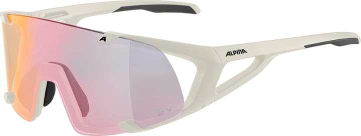 Alpina Hawkeye S QV Sportbrille grau von Alpina
