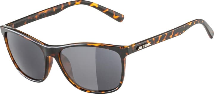 Alpina Jaida Sportbrille dunkelbraun von Alpina