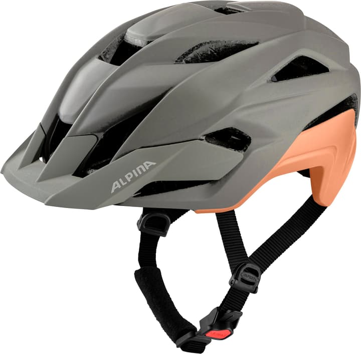 Alpina Kamloop Velohelm grau von Alpina