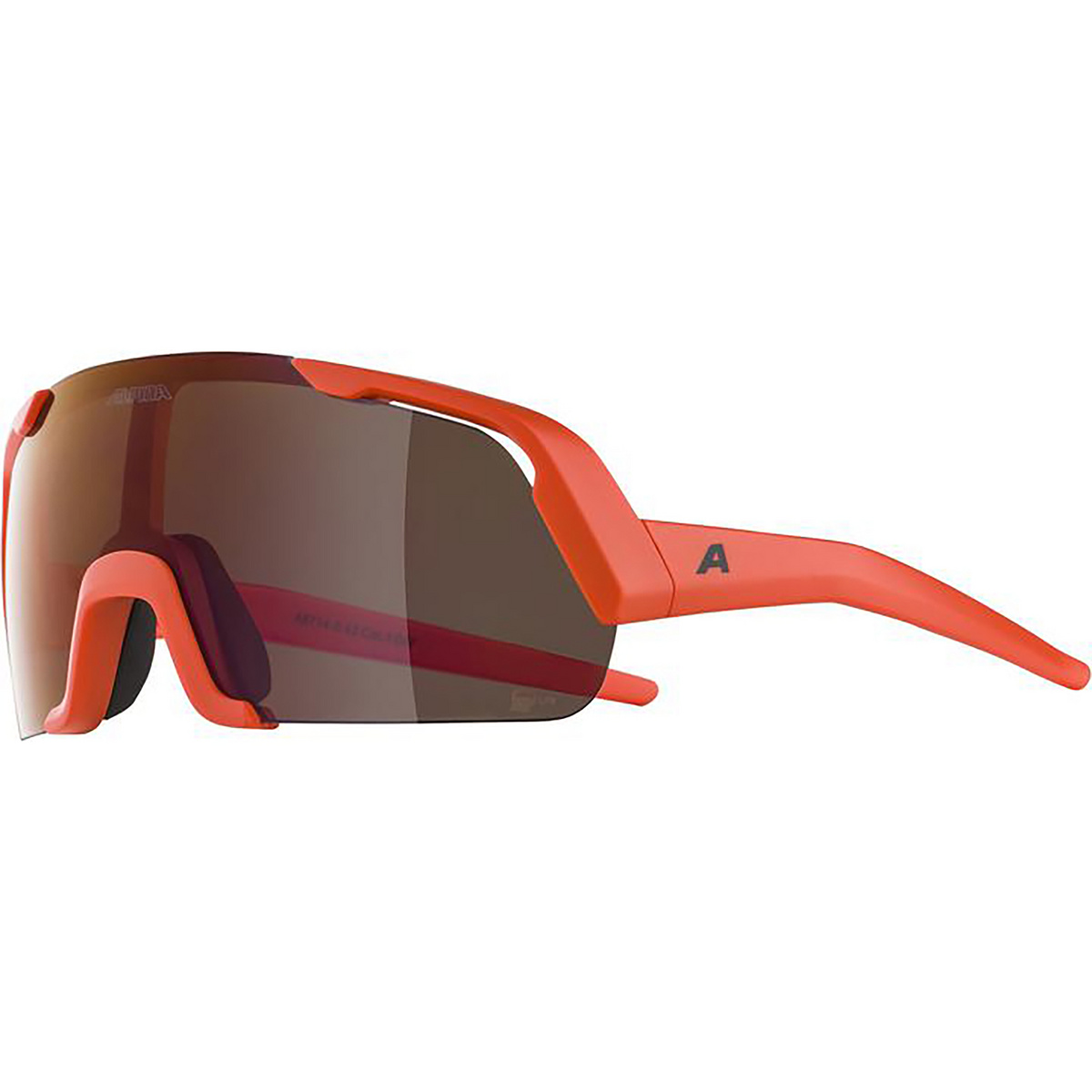Alpina Kinder Rocket Youth Q-Lite Sportbrille von Alpina