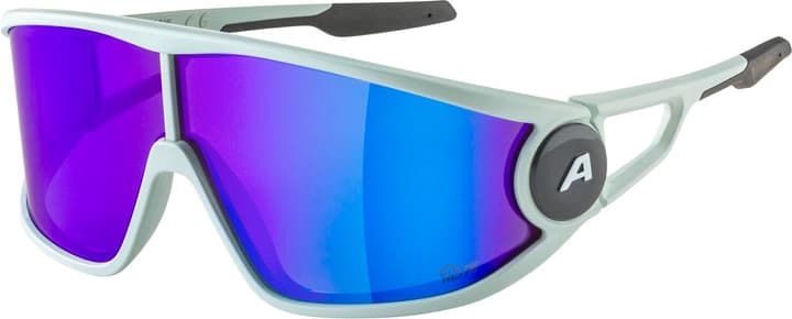 Alpina Legend Q-Lite Sportbrille kitt von Alpina