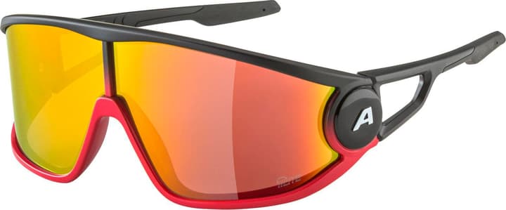 Alpina Legend Q-Lite Sportbrille rot von Alpina