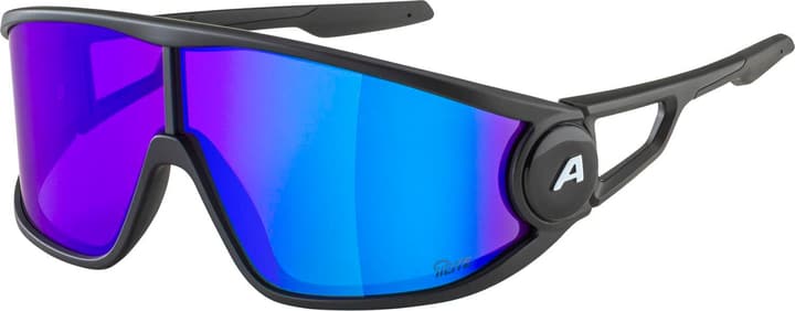 Alpina Legend Q-Lite Sportbrille schwarz von Alpina
