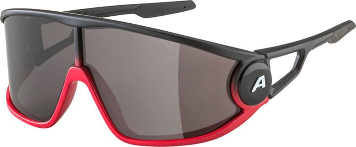 Alpina Legend Sportbrille rot von Alpina