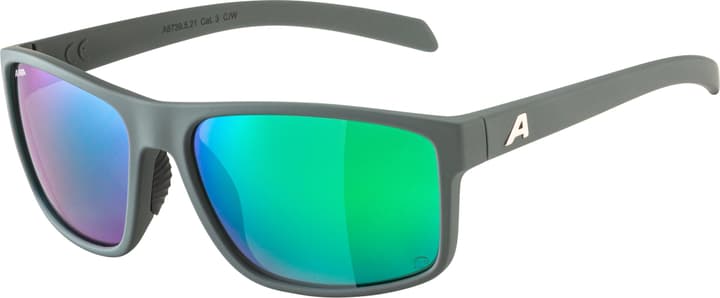 Alpina Nacan I P Sportbrille hellgrau von Alpina