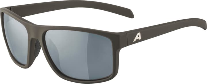 Alpina Nacan I Sportbrille dunkelgrau von Alpina