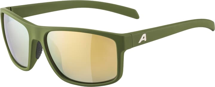 Alpina Nacan I Sportbrille olive von Alpina