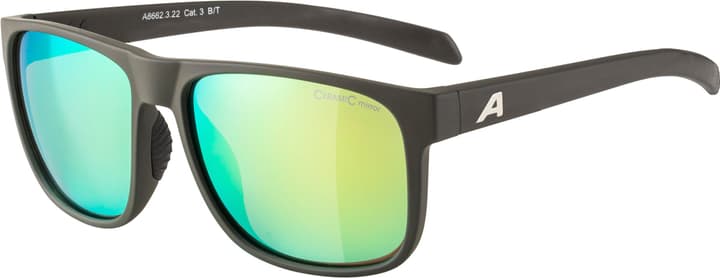 Alpina Nacan III Sportbrille dunkelgrau von Alpina