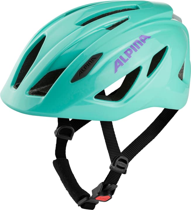 Alpina Pico Flash Velohelm mint von Alpina