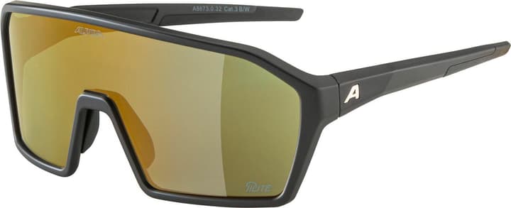 Alpina Ram Q-Lite Sportbrille dunkelgelb von Alpina