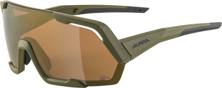 Alpina Rocket Q-Lite Sportbrille grün von Alpina